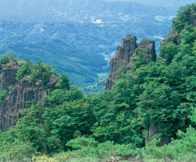 福島りょうぜん漬って何？ | 福島りょうぜん漬本舗